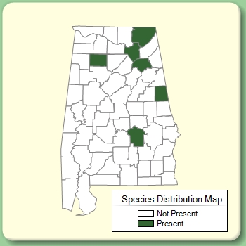 Species Distribution Map