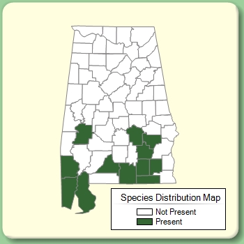 Species Distribution Map