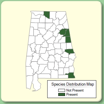 Species Distribution Map