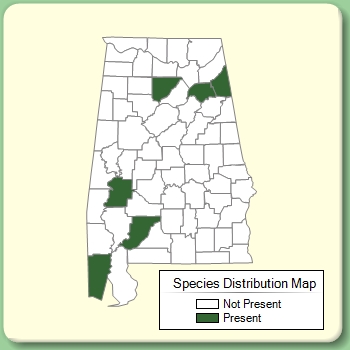 Species Distribution Map