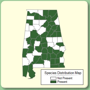 Species Distribution Map