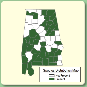 Species Distribution Map