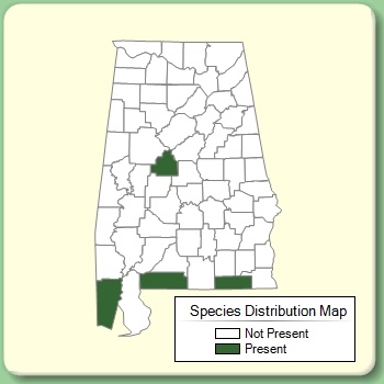 Species Distribution Map