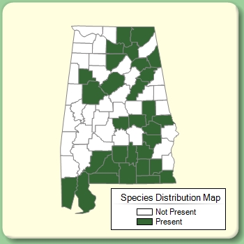 Species Distribution Map