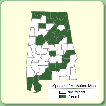 Species Distribution Map