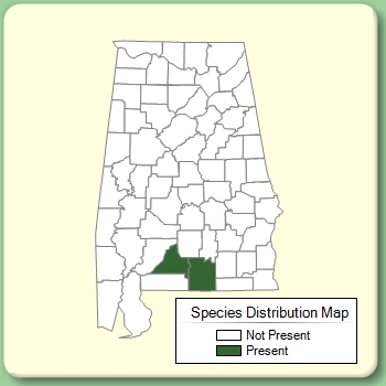 Species Distribution Map