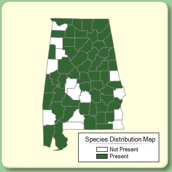 Species Distribution Map