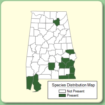 Species Distribution Map