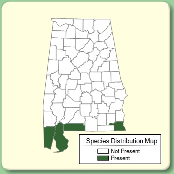 Species Distribution Map