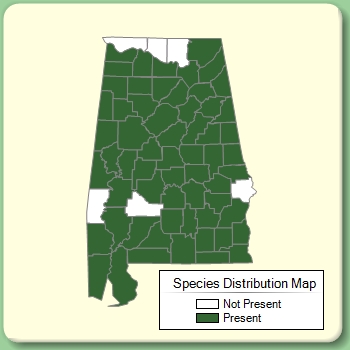 Species Distribution Map