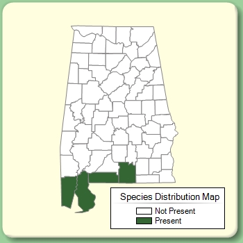 Species Distribution Map