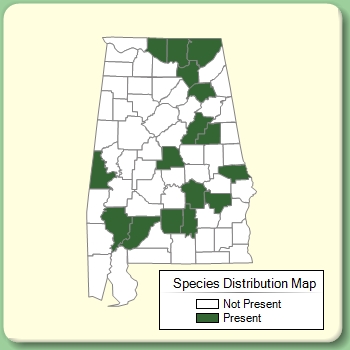 Species Distribution Map