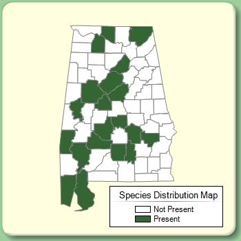 Species Distribution Map