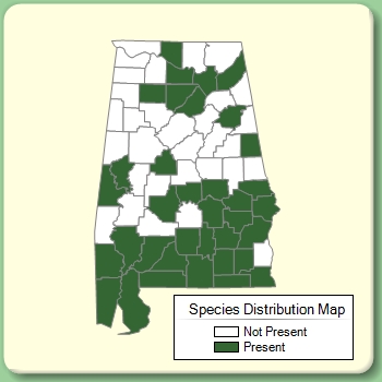 Species Distribution Map