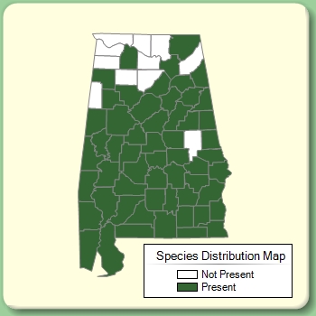 Species Distribution Map