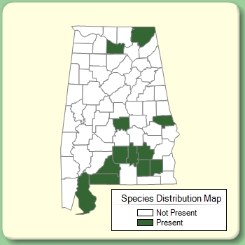 Species Distribution Map