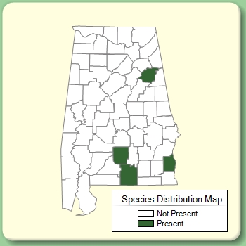 Species Distribution Map