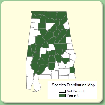 Species Distribution Map