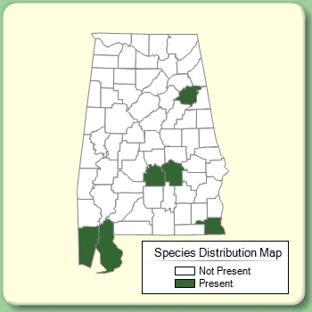 Species Distribution Map