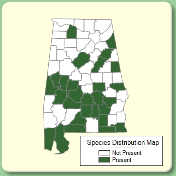 Species Distribution Map