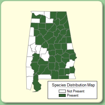 Species Distribution Map