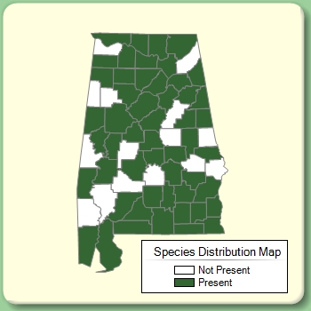 Species Distribution Map