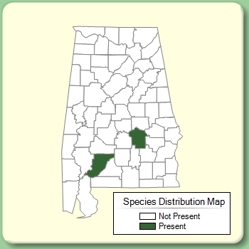 Species Distribution Map