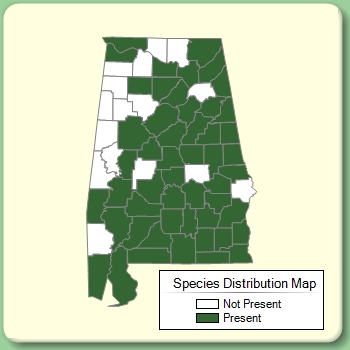 Species Distribution Map