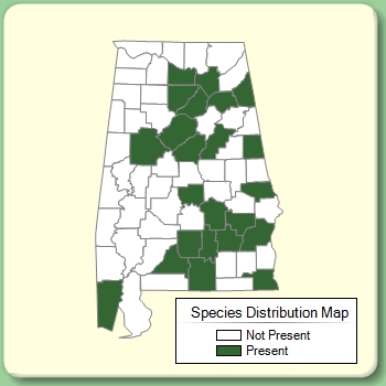 Species Distribution Map