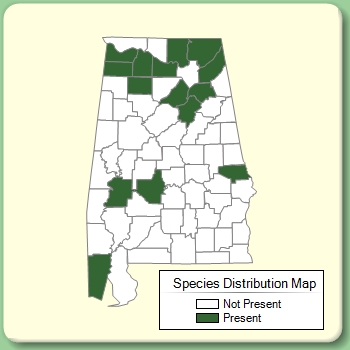 Species Distribution Map