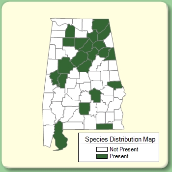 Species Distribution Map