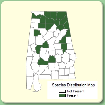 Species Distribution Map