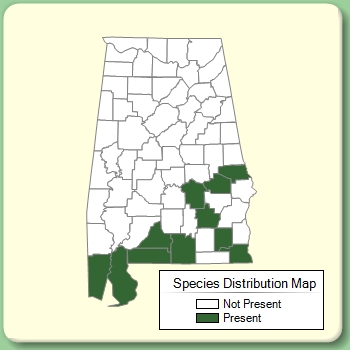 Species Distribution Map