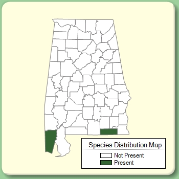 Species Distribution Map