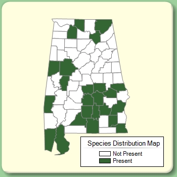 Species Distribution Map