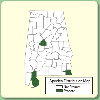 Species Distribution Map