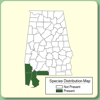 Species Distribution Map