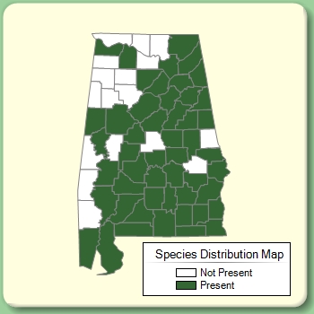 Species Distribution Map