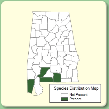 Species Distribution Map