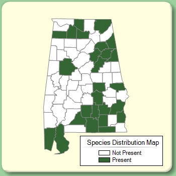 Species Distribution Map