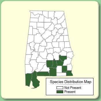 Species Distribution Map