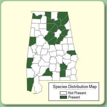 Species Distribution Map