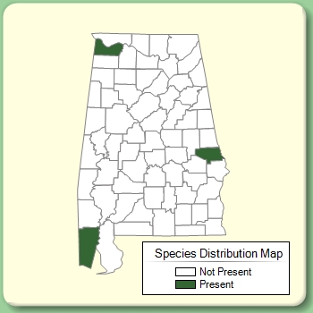 Species Distribution Map