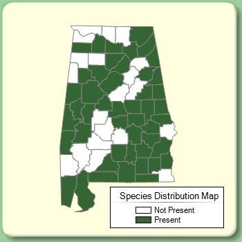 Species Distribution Map