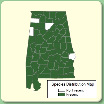 Species Distribution Map