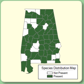 Species Distribution Map