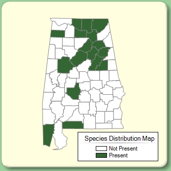 Species Distribution Map