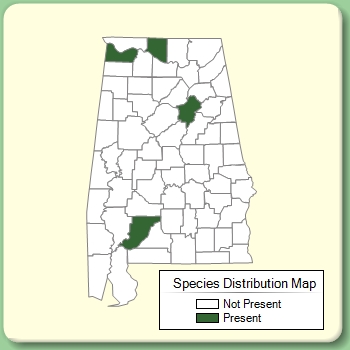 Species Distribution Map