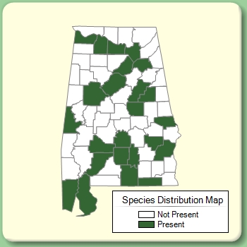 Species Distribution Map