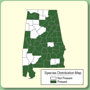 Species Distribution Map